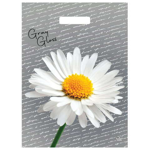 Пакет с вырубной ручкой ПВД, 43х31,5 см, "Грэй Глосс Ромашка", 50 мкм, Пакет с вырубной ручкой ПВД, 43х31,5 см, "Грэй Глосс Ромашка", 50 мкм,