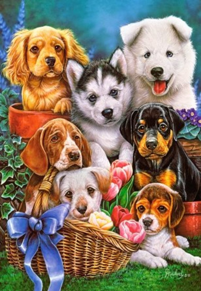 Картина собаки