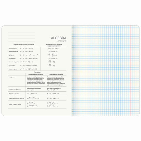 Тетради предметные, КОМПЛЕКТ 12 ПРЕДМЕТОВ, 48 л., TWIN лак, BRAUBERG