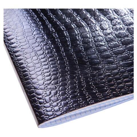 Тетрадь бумвинил А5 48 л., скоба, офсет №1, клетка, с полями, "ЧЕРНАЯ Тетрадь бумвинил А5 48 л., скоба, офсет №1, клетка, с полями, "ЧЕРНАЯ