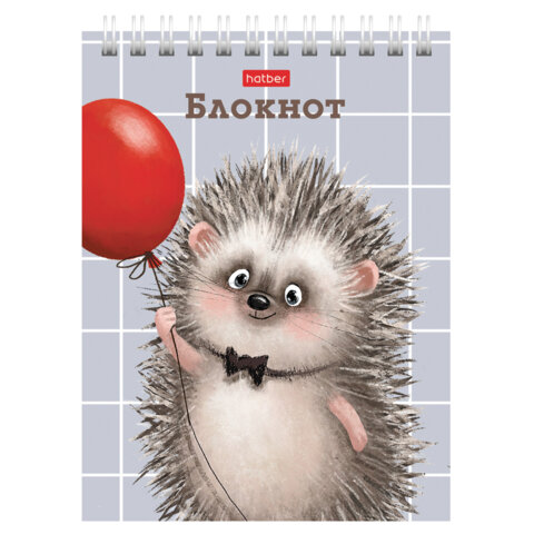 Блокнот МАЛЫЙ ФОРМАТ А6, 40 л., гребень, картон, клетка, HATBER, "Хорошо
