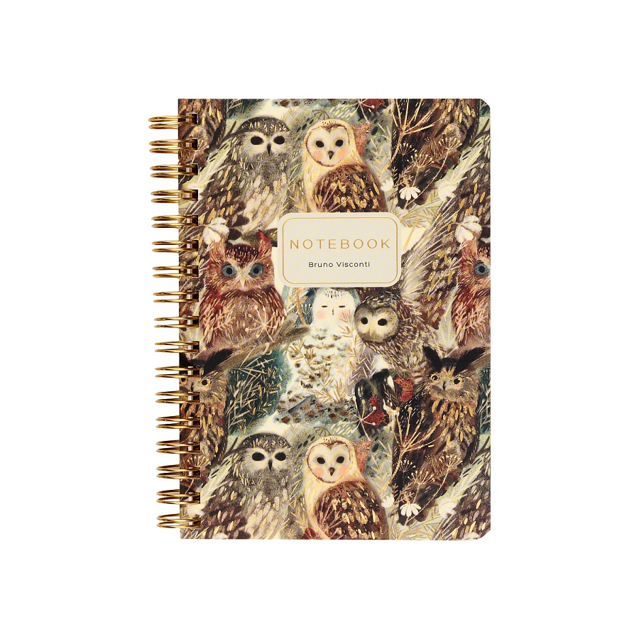 ТЕТРАДЬ НА ГРЕБНЕ А6 Bruno Visconti "FAUNA.ВОЛШЕБНЫЕ СОВЫ" 60л. клетка ТЕТРАДЬ НА ГРЕБНЕ А6 Bruno Visconti "FAUNA.ВОЛШЕБНЫЕ СОВЫ" 60л. клетка