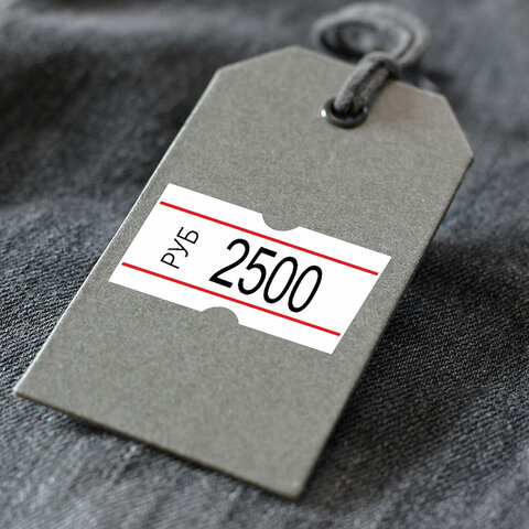 Этикет-лента 21х12 мм, прямоугольная, белая с красной полосой, КОМПЛЕКТ 10 Этикет-лента 21х12 мм, прямоугольная, белая с красной полосой, КОМПЛЕКТ 10