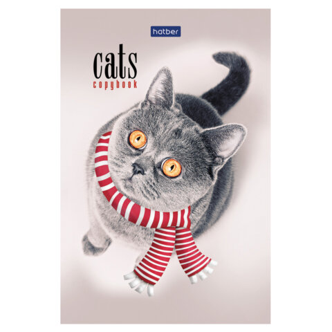 Блокнот МАЛЫЙ ФОРМАТ А6, 40 л., склейка, мелованная бумага, клетка, глянцевая