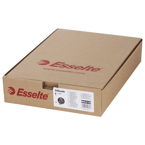 Подвесные папки ESSELTE "Classic", с разделителями, картон, комплект