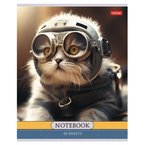 Тетрадь А5 48 л., HATBER скоба, клетка, обложка картон, Тетрадь А5 48 л., HATBER скоба, клетка, обложка картон,