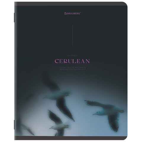 Тетрадь А5, 48 л., BRAUBERG, скоба, клетка, SoftTouch, "Peaceful",
