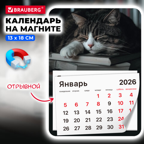 Календарь отрывной на магните на 2026 г., BRAUBERG, 130х180 мм, склейка,