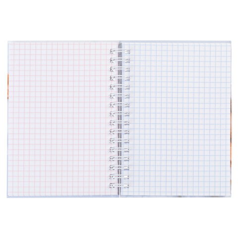 Блокнот МАЛЫЙ ФОРМАТ А6, 80 л., гребень, твердый картон, клетка 2 цв., HATBER, Блокнот МАЛЫЙ ФОРМАТ А6, 80 л., гребень, твердый картон, клетка 2 цв., HATBER,