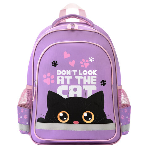 Рюкзак ПИФАГОР SCHOOL, 1 отделение, 3 кармана, "Observer cat",