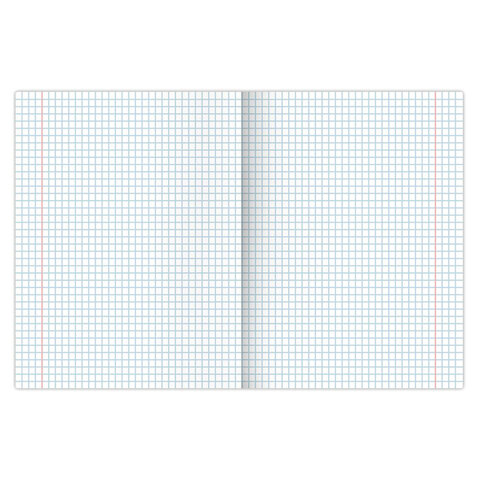 Тетради 18 л. КОМПЛЕКТ 10 шт. BRAUBERG КЛАССИКА, клетка, обложка картон, СИНЯЯ, Тетради 18 л. КОМПЛЕКТ 10 шт. BRAUBERG КЛАССИКА, клетка, обложка картон, СИНЯЯ,