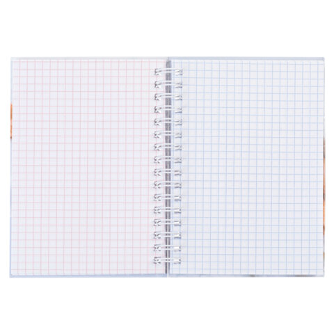 Блокнот МАЛЫЙ ФОРМАТ А6, 80 л., гребень, твердый картон, клетка 2 цв., HATBER, Блокнот МАЛЫЙ ФОРМАТ А6, 80 л., гребень, твердый картон, клетка 2 цв., HATBER,
