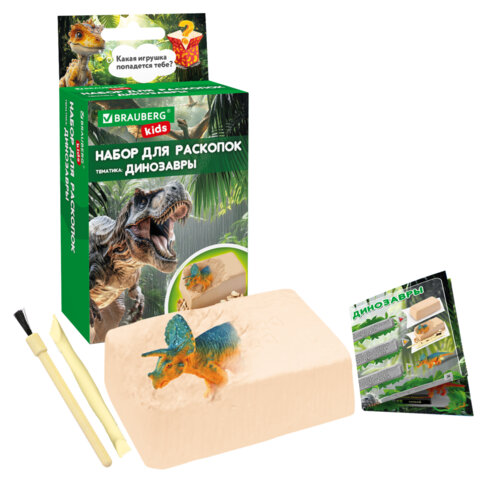 Набор для раскопок 8,5х16 см, карточка, инструменты, 3 вида ассорти, BRAUBERG