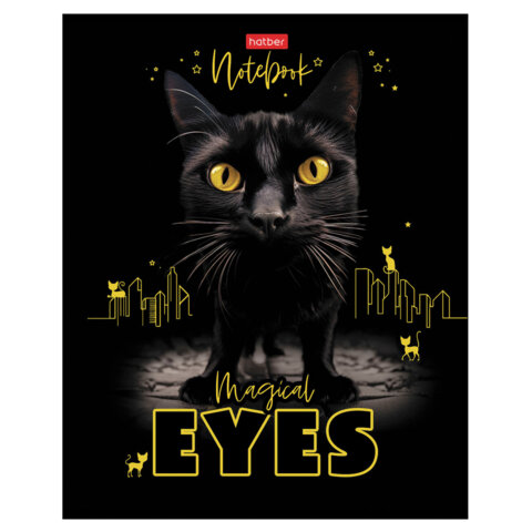 Тетрадь А5 48 л., HATBER скоба, клетка, матовая ламинация, 3D-лак, Тетрадь А5 48 л., HATBER скоба, клетка, матовая ламинация, 3D-лак,