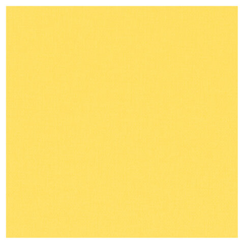 Цветная бумага ТИШЬЮ 17 г/м2, А4 (210х297 мм), 80 листов, 40 цветов в папке,