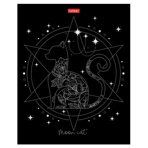 Тетрадь А5 48 л., HATBER скоба, клетка, матовая ламинация, 3D-фольга, Тетрадь А5 48 л., HATBER скоба, клетка, матовая ламинация, 3D-фольга,