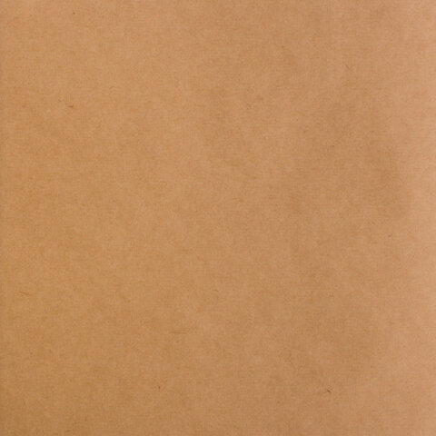Альбом для рисования, крафт-бумага 70 г/м2, 205х195 мм 40 л., на скобе, BRAUBERG