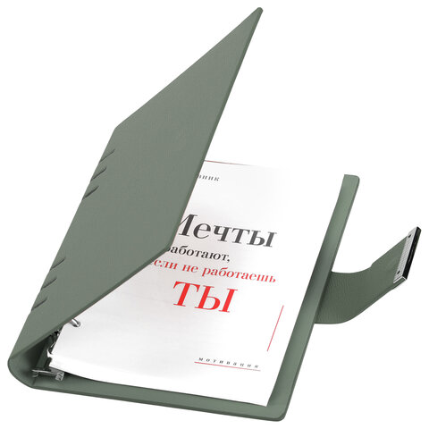 Ежедневник на кольцах в наборе с ручкой А5, 165x229 мм, BRAUBERG