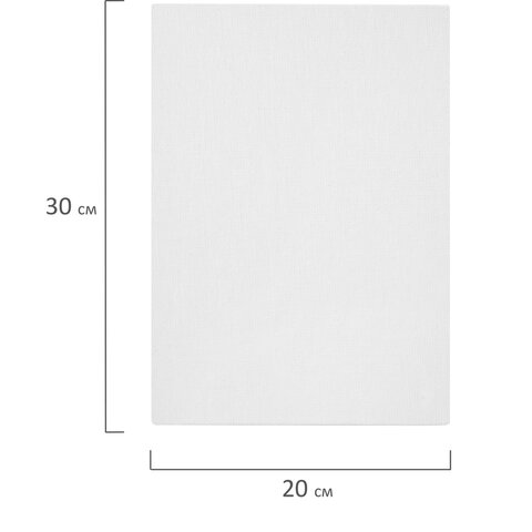 Холсты на картоне НАБОР 5 штук (20х30 см), хлопок, 280 г/м2, грунт, BRAUBERG ART
