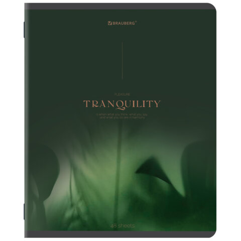 Тетрадь А5, 48 л., BRAUBERG, скоба, клетка, SoftTouch, "Peaceful",