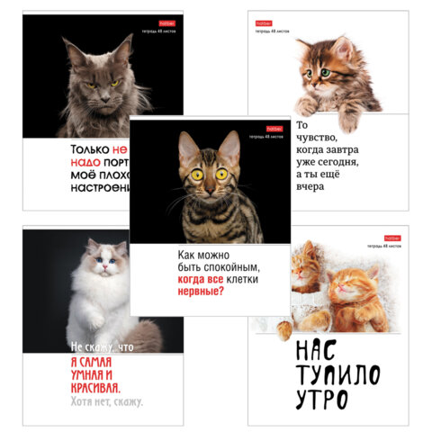 Тетрадь А5 48 л., HATBER скоба, клетка, обложка картон, "Котоюмор" Тетрадь А5 48 л., HATBER скоба, клетка, обложка картон, "Котоюмор"