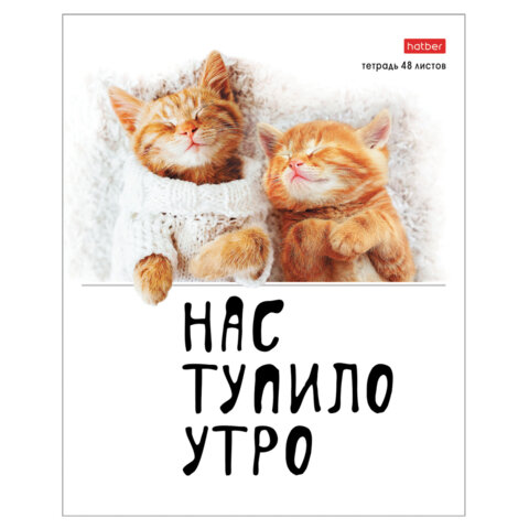 Тетрадь А5 48 л., HATBER скоба, клетка, обложка картон, "Котоюмор" Тетрадь А5 48 л., HATBER скоба, клетка, обложка картон, "Котоюмор"