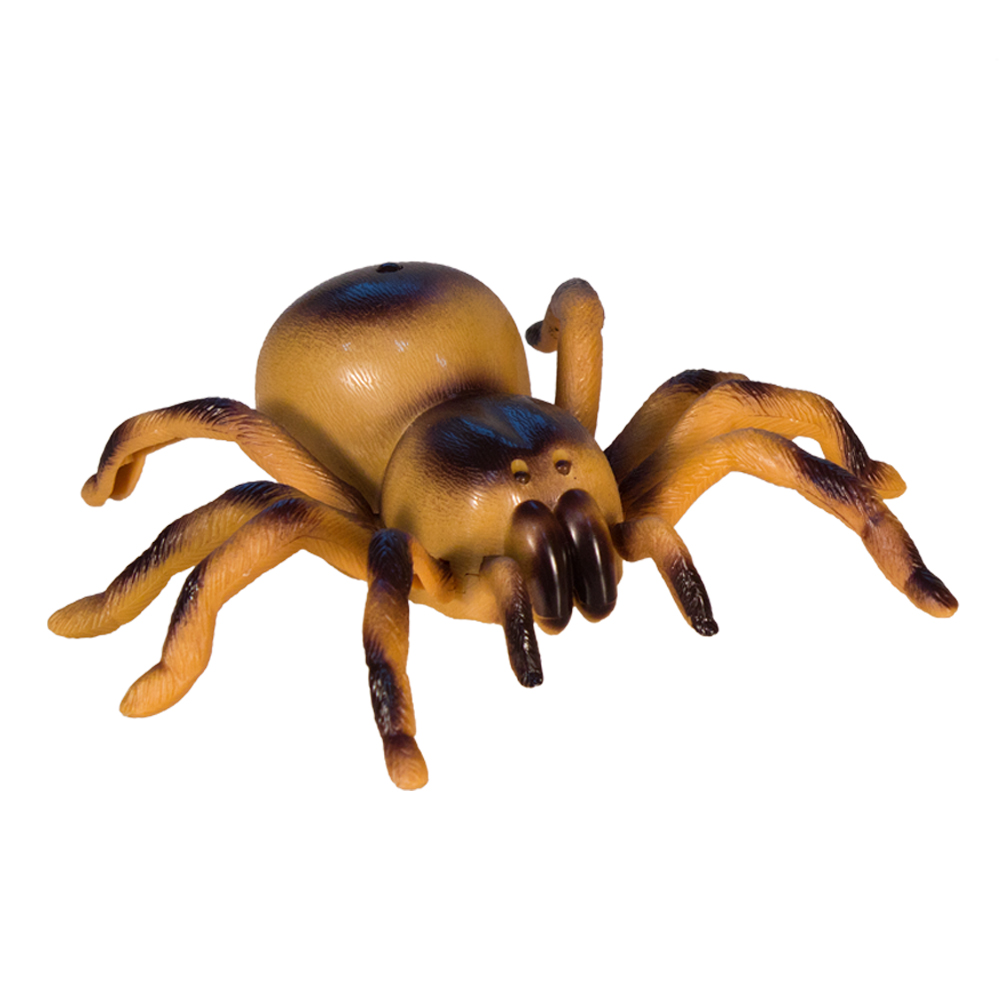 Паук