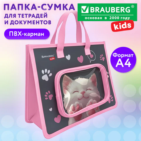 Папка на молнии с ручками BRAUBERG KIDS А4, 1 отделение, дополнительные карманы,