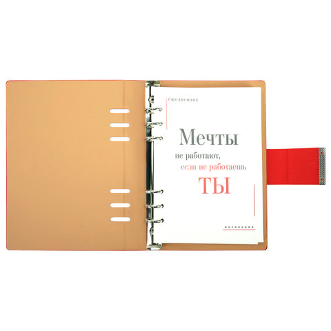 Ежедневник на кольцах в наборе с ручкой А5, 165x229 мм, BRAUBERG