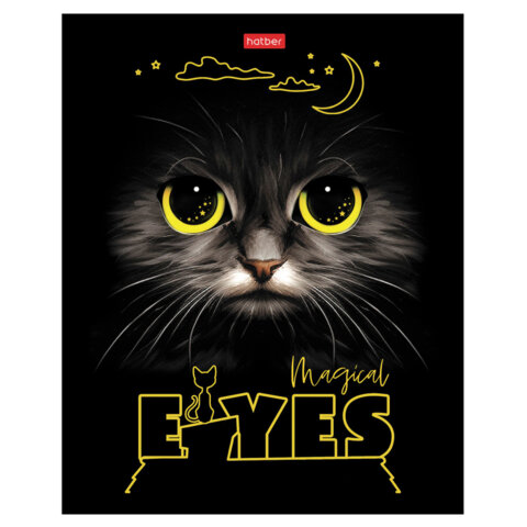 Тетрадь А5 48 л., HATBER скоба, клетка, матовая ламинация, 3D-лак, Тетрадь А5 48 л., HATBER скоба, клетка, матовая ламинация, 3D-лак,