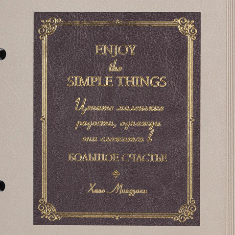 Тетрадь на кольцах А5, 180х220 мм, 120 л., под кожу, фольга, резинка, стикеры,