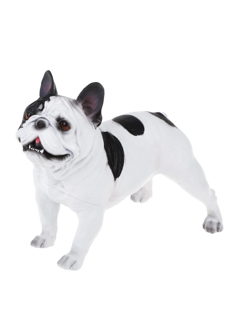 Собака Собака