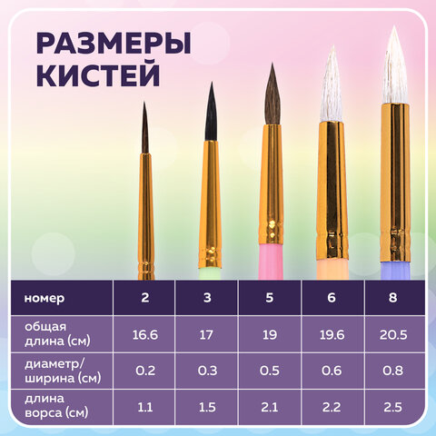 Кисти НАБОР 5 шт. (БЕЛКА круглая № 3; КОЗА круглые № 6, 8; ПОНИ круглые № 2, 5),