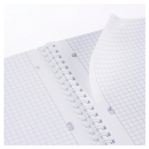 Тетрадь обложка пластик, А4, 80 л., гребень, клетка, HATBER, "LINE Тетрадь обложка пластик, А4, 80 л., гребень, клетка, HATBER, "LINE