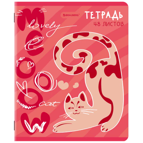Тетради ДЭК А5 48 л. КОМПЛЕКТ 5 шт. BRAUBERG, скоба, клетка, TWIN-лак, Тетради ДЭК А5 48 л. КОМПЛЕКТ 5 шт. BRAUBERG, скоба, клетка, TWIN-лак,