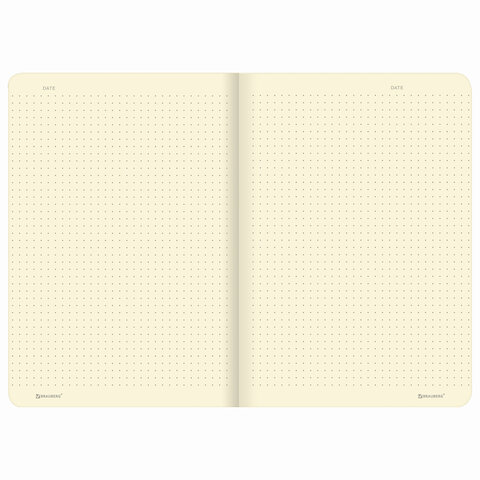 Тетрадь 48 л. в точку обложка кожзам SoftTouch, сшивка, A5 (147х210мм), ГОЛУБОЙ,