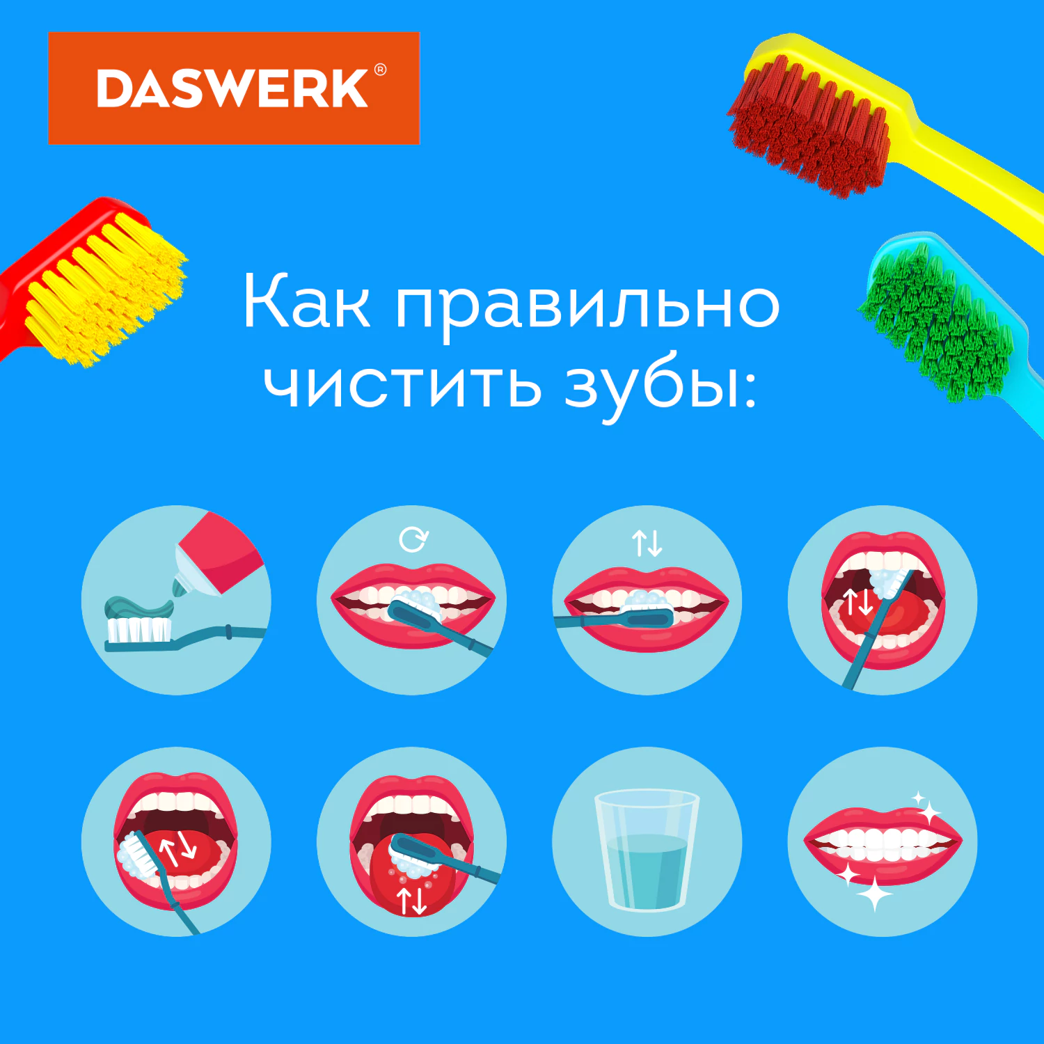 Зубные щетки, набор 10 штук, СРЕДНЕ-МЯГКИЕ (MEDIUM SOFT), DASWERK (ДАСВЕРК),