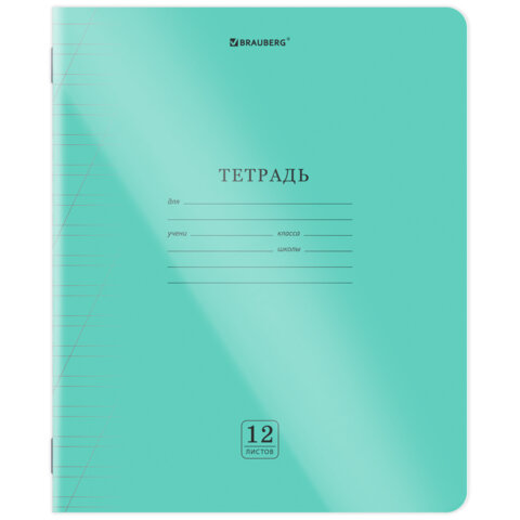 Тетрадь пластиковая обложка (прозрачная) 12 листов, косая линия, BRAUBERG Тетрадь пластиковая обложка (прозрачная) 12 листов, косая линия, BRAUBERG