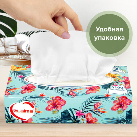 Салфетки косметические 100 шт. в картонном боксе 2-слойные, LAIMA
