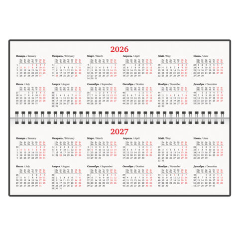 Планинг датированный 2026 305х140 мм BRAUBERG "Up", под кожу, черный,