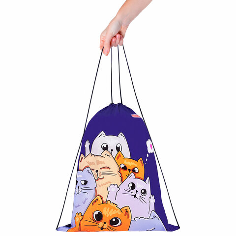 Мешок для обуви ПИФАГОР, 1 отделение, 42х34 см, "Cats greetings",