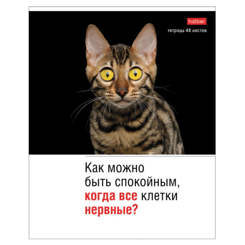 Тетрадь А5 48 л., HATBER скоба, клетка, обложка картон, "Котоюмор" Тетрадь А5 48 л., HATBER скоба, клетка, обложка картон, "Котоюмор"