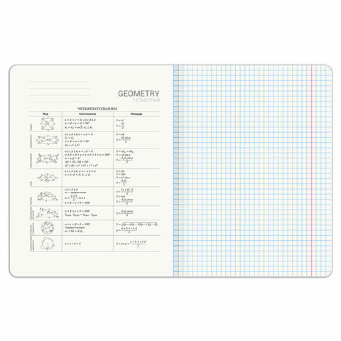 Тетрадь предметная DOG БОБИК 48л, TWIN лак, ГЕОМЕТРИЯ, клетка, подсказ,