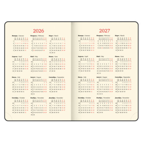 Ежедневник датированный 2026 А5 138х213 мм, BRAUBERG "Accent", под