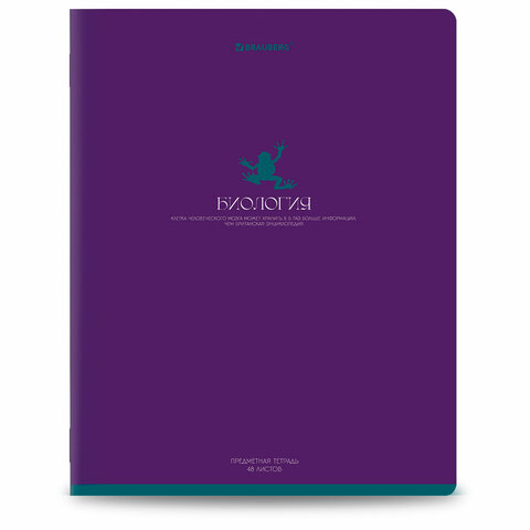 Тетради предметные, КОМПЛЕКТ 13 ПРЕДМЕТОВ, 48 л., матовая ламинация, BRAUBERG