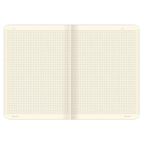 Тетрадь 60 л. в клетку обложка SoftTouch, бежевая бумага 70 г/м2, сшивка, В5