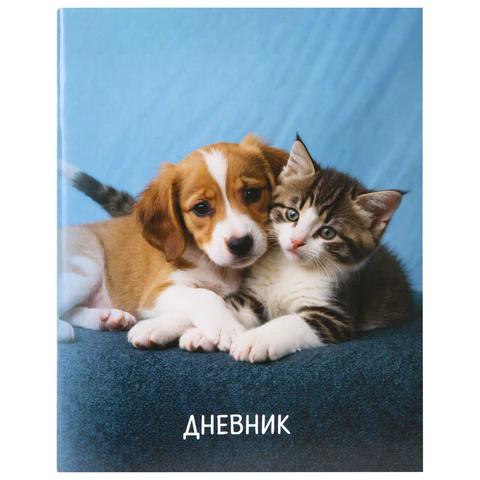 Дневник 1-11 класс 40 л., на скобе, ПИФАГОР, обложка картон, МИКС