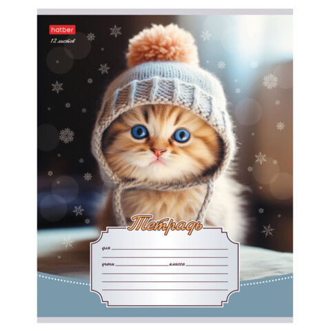 Тетрадь 12л. HATBER линия, обложка картон, Уютные котики (микс в спайке), 12Т5В2 Тетрадь 12л. HATBER линия, обложка картон, Уютные котики (микс в спайке), 12Т5В2