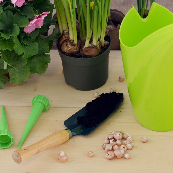 Совок узкий (дерев.ручк.). Длина 30 см.