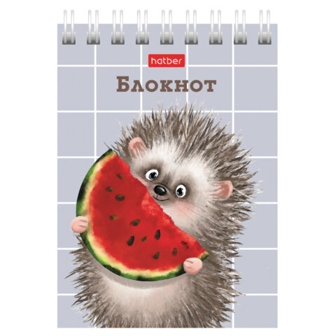 Блокнот МАЛЫЙ ФОРМАТ А7, 40 л., гребень, картон, клетка, HATBER, "Хорошо Блокнот МАЛЫЙ ФОРМАТ А7, 40 л., гребень, картон, клетка, HATBER, "Хорошо